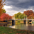 Late Autumn