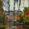 Autumn in Boston Garden