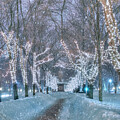 Commonwealth Ave Mall - Boston